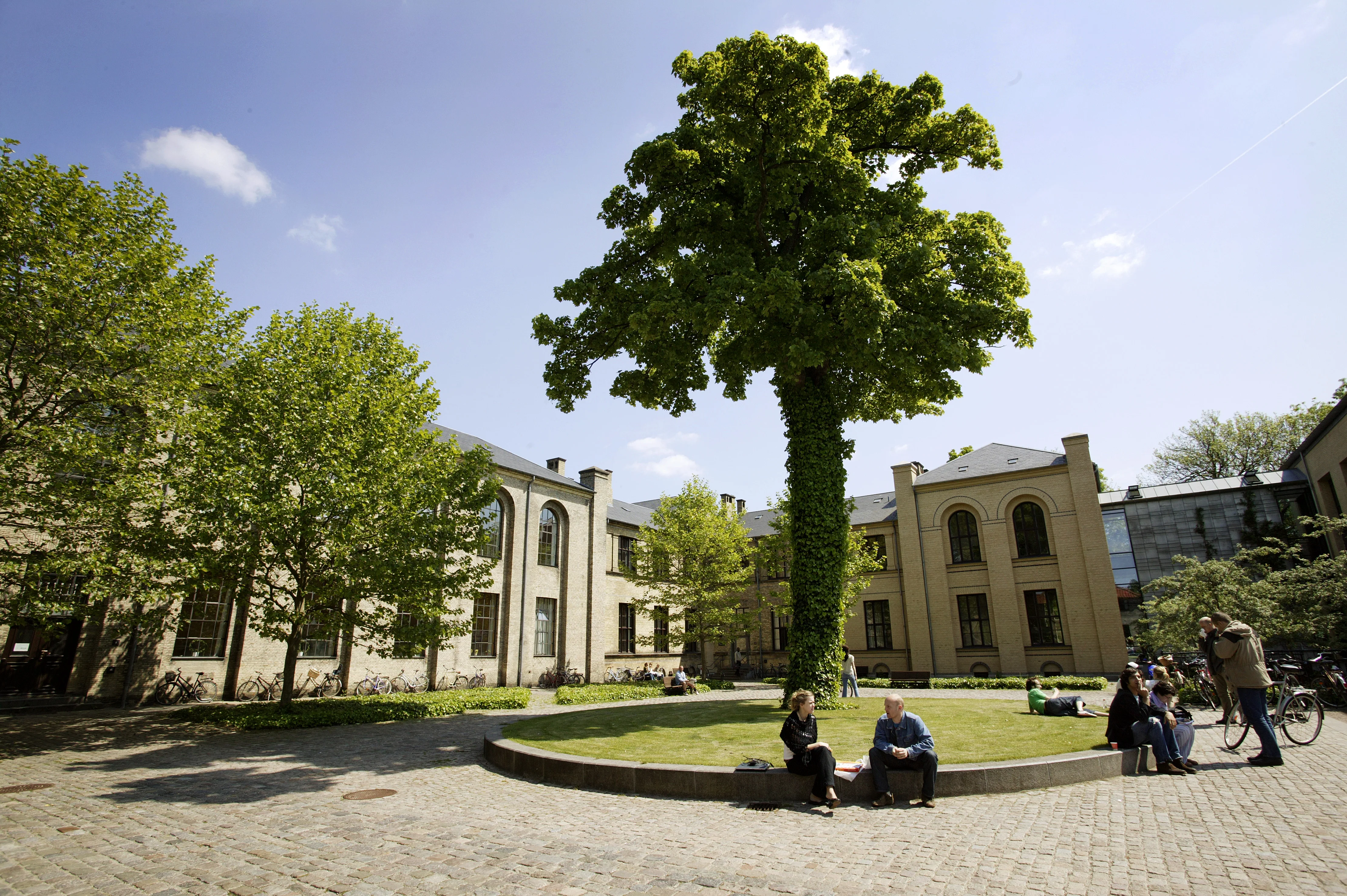 Studerende sidder på grønt udeareal foran Frederiksberg Campus